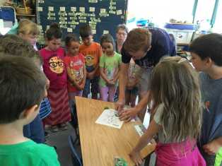 Chlorophyll leaf coloring